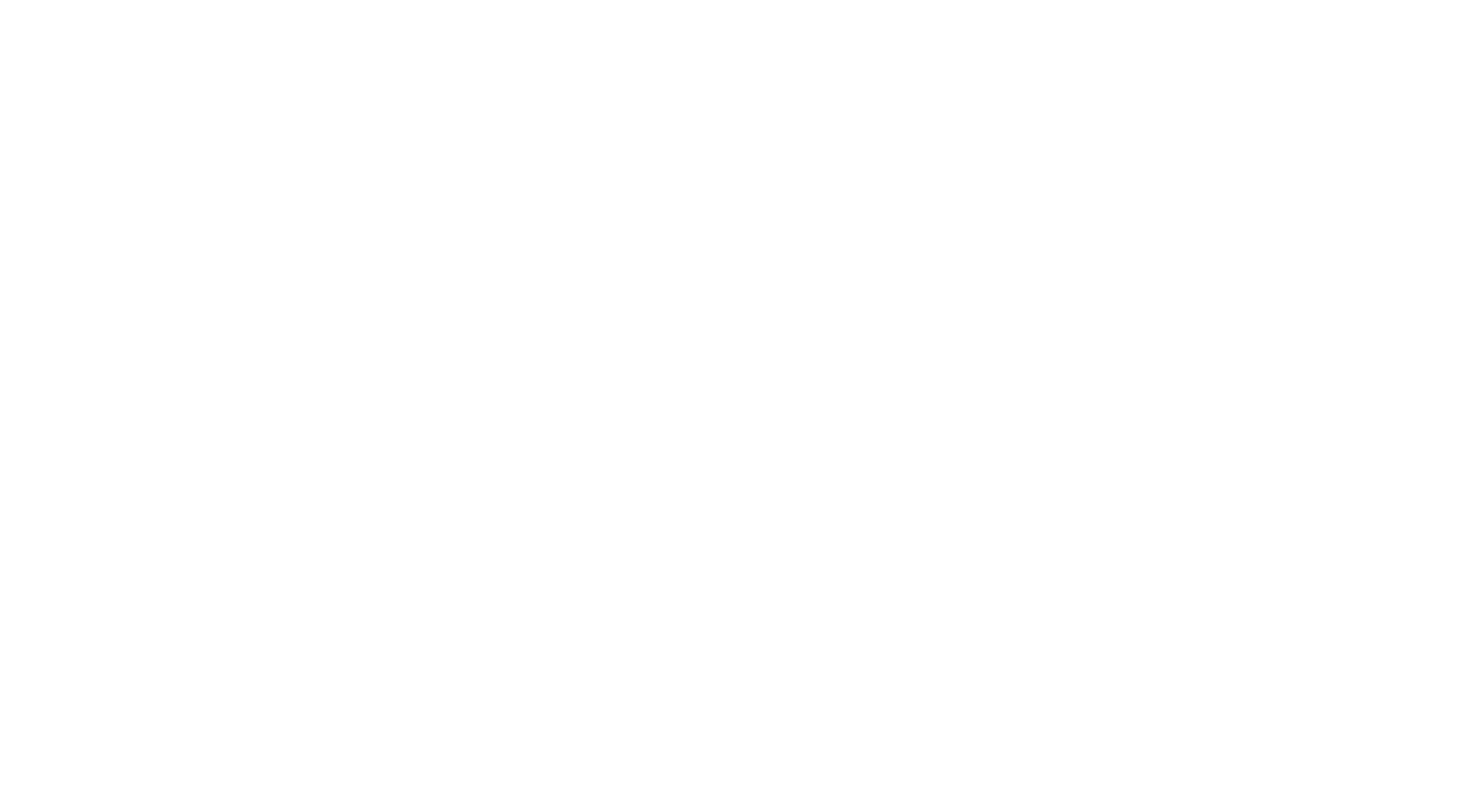 CARDANHO STUDIO