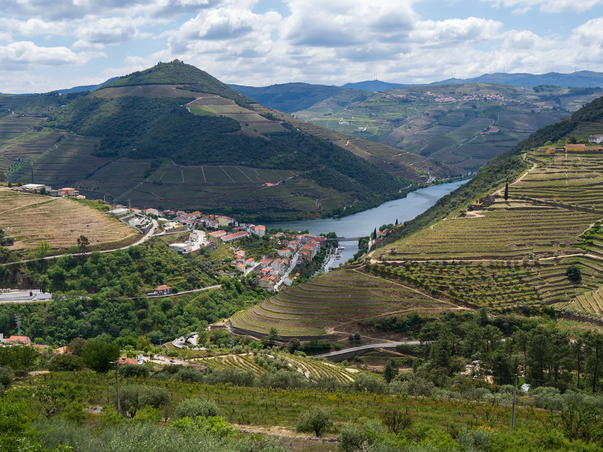 pexels-photo-13540096