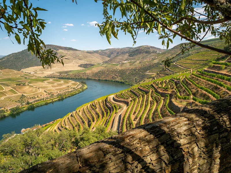 pexels-photo-2894470