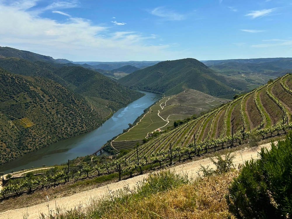 douro selvagem - douro on the rocks (2)