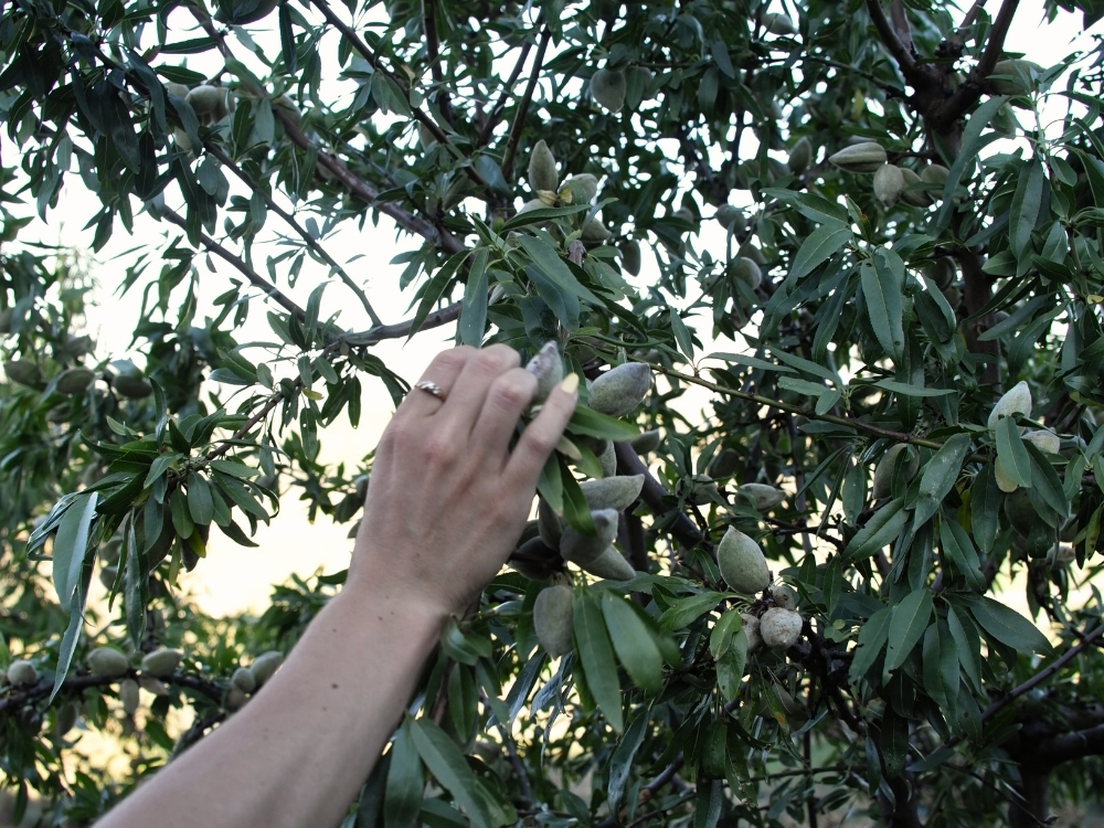 douro selvagem - douro on the rocks (4)