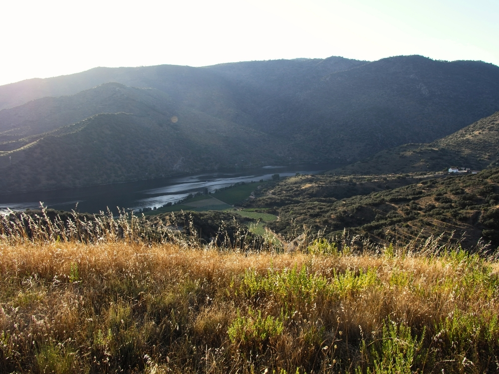 douro selvagem - douro on the rocks (6)