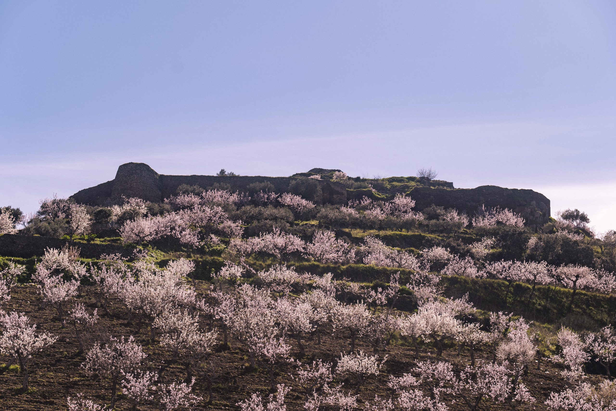 19 de fevereiro de 2024-1