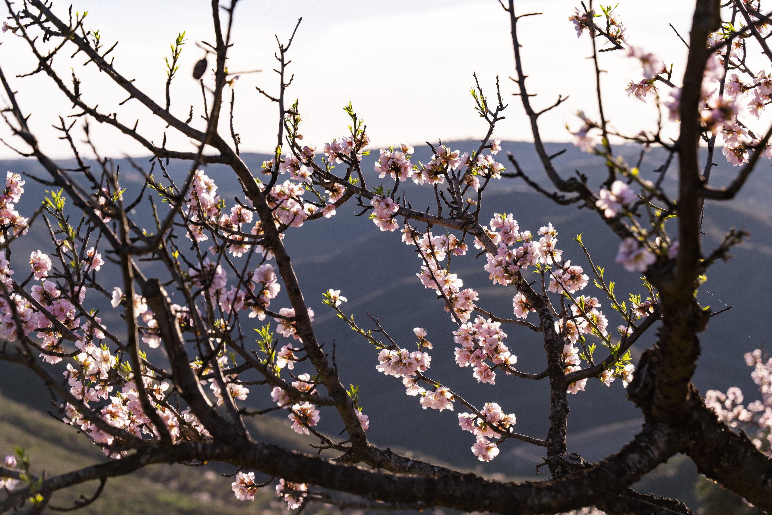 19 de fevereiro de 2024-19
