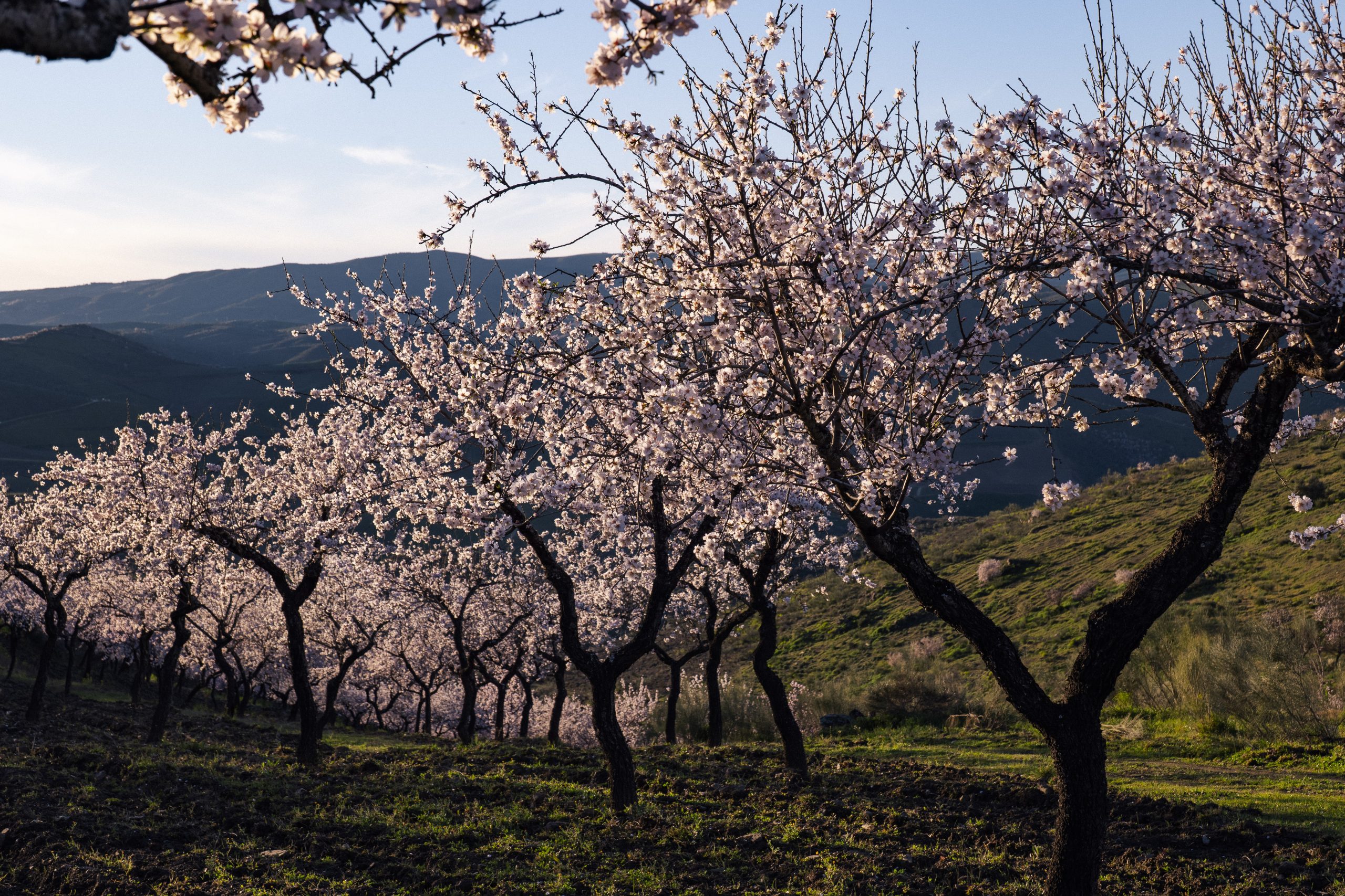 19 de fevereiro de 2024-25