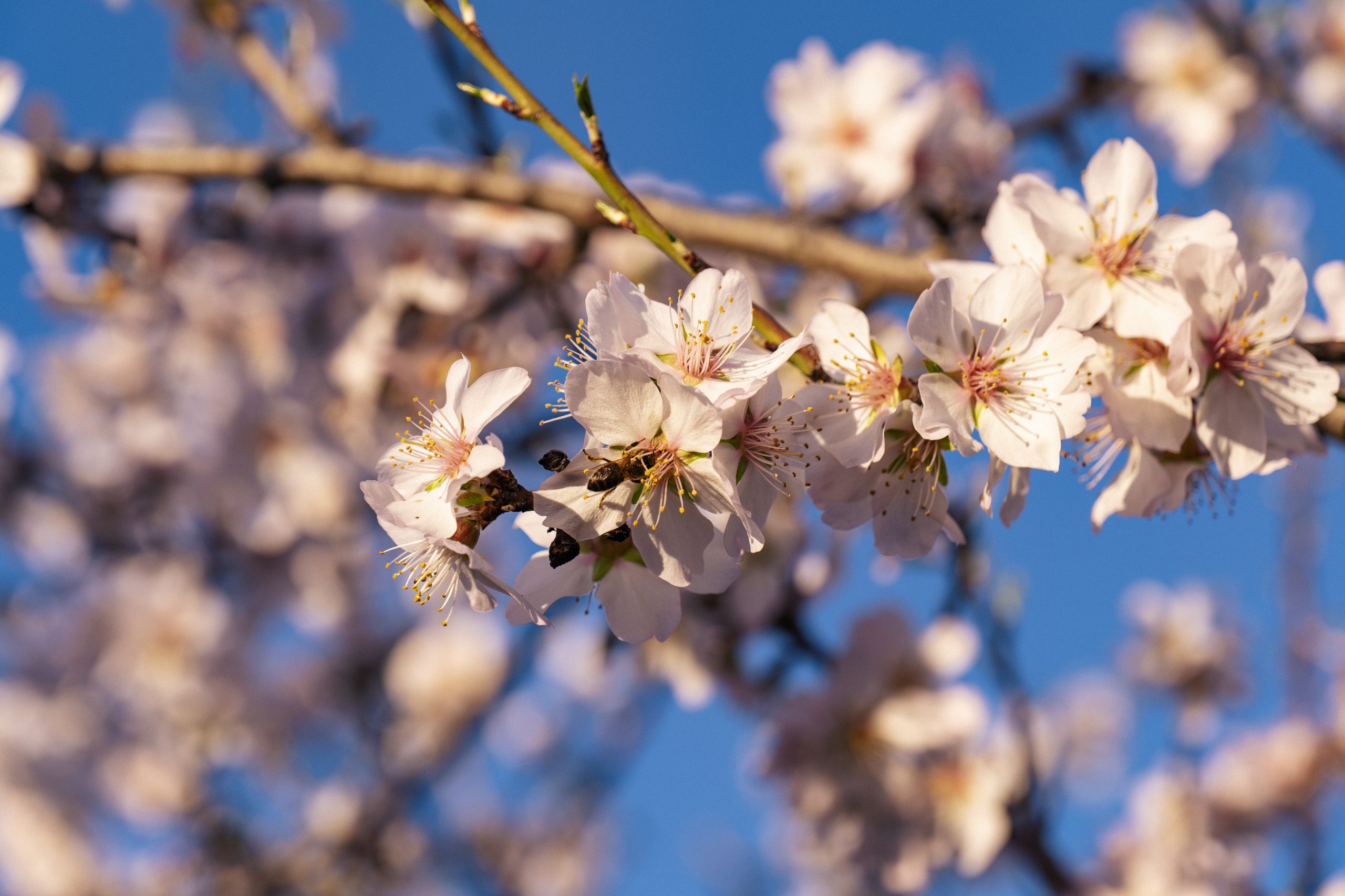 19 de fevereiro de 2024-28