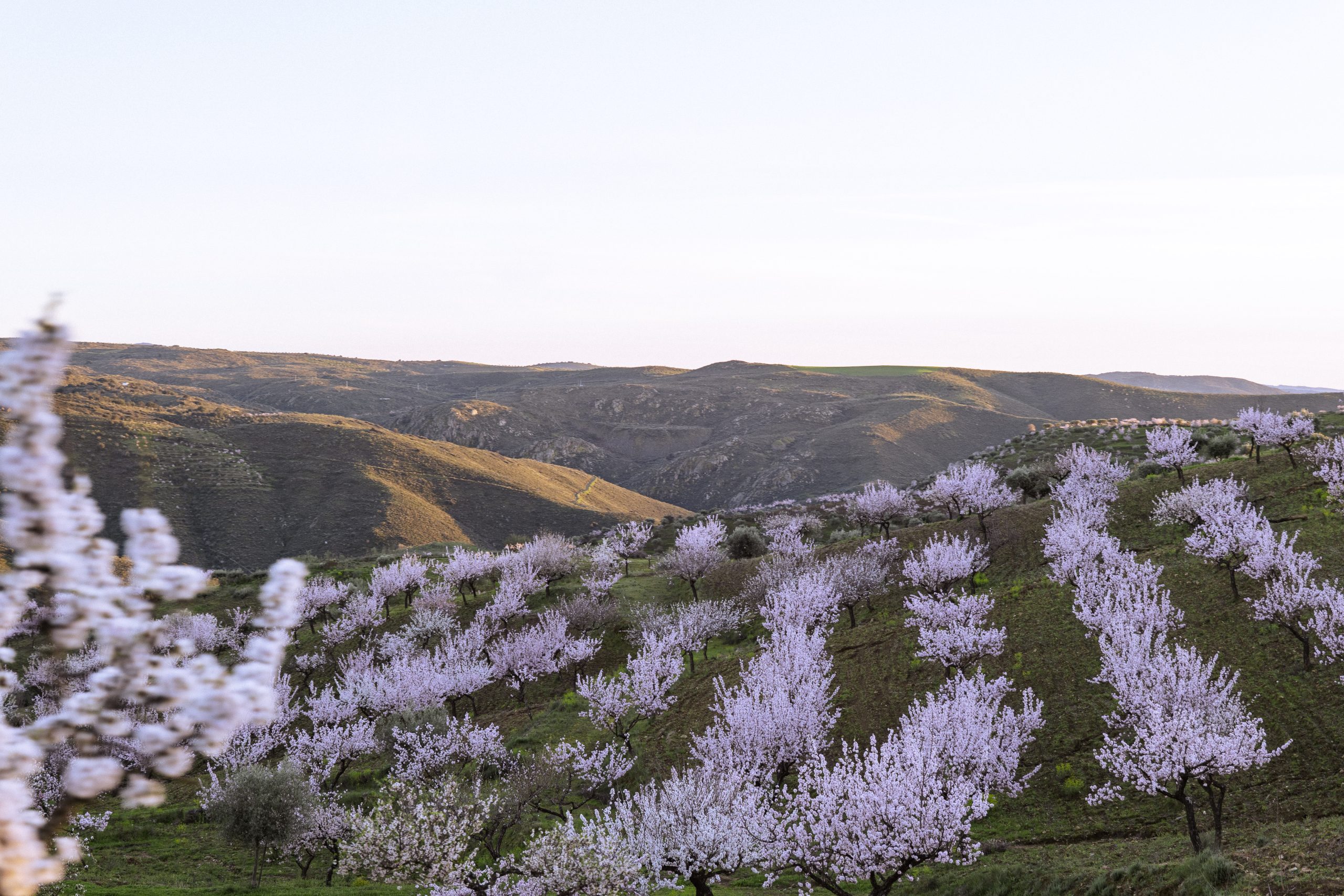 19 de fevereiro de 2024-35