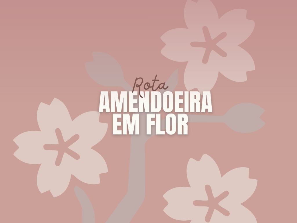 Rota das amendoeiras Douro on the Rocks Rota das amendoeiras em Flor - Douro on the Rocks